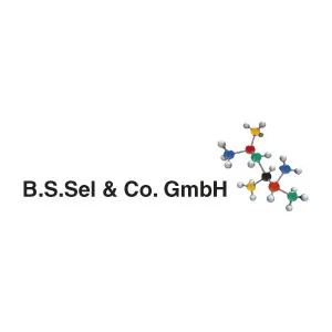 Bs Sel Logo